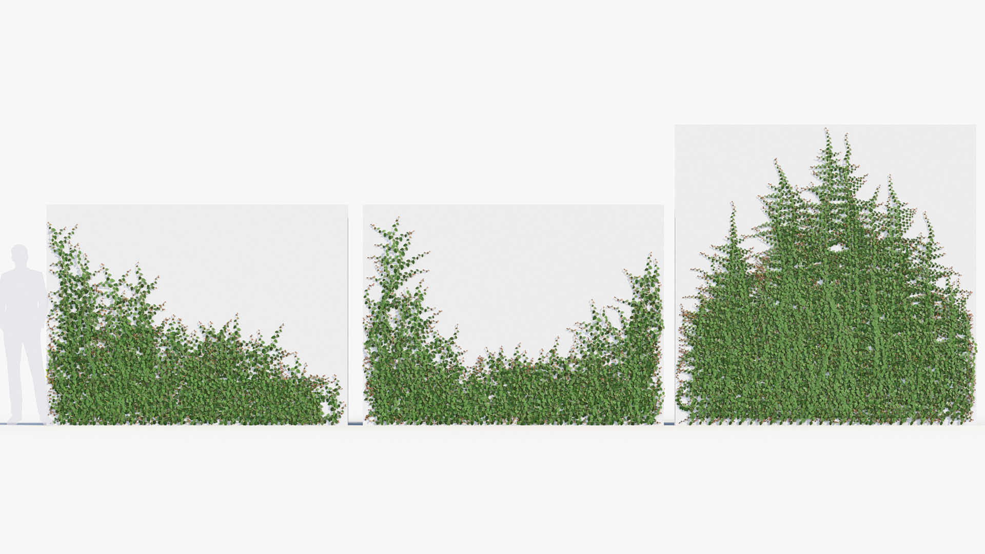 Package 12 Hang Vine Collection 3D model_58