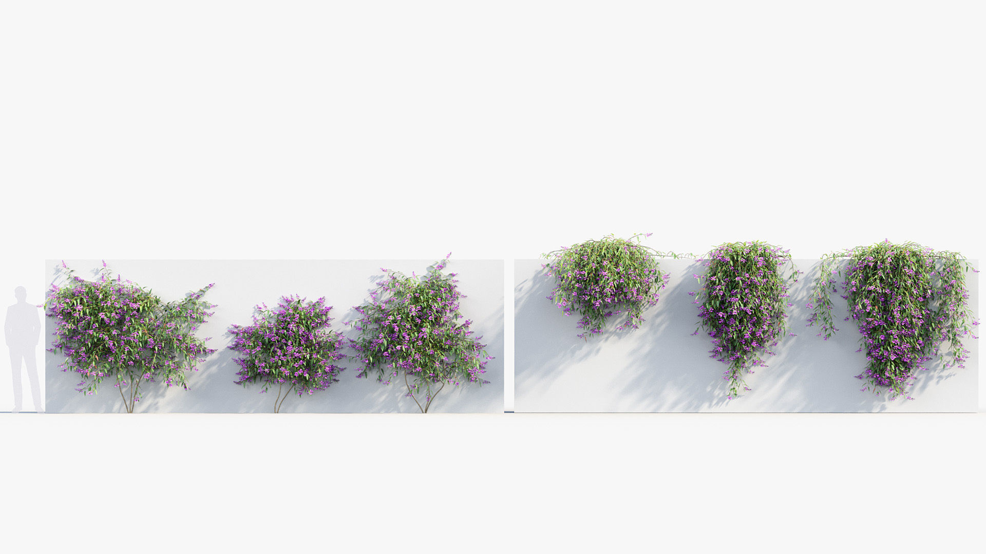 Package 12 Hang Vine Collection 3D model_73