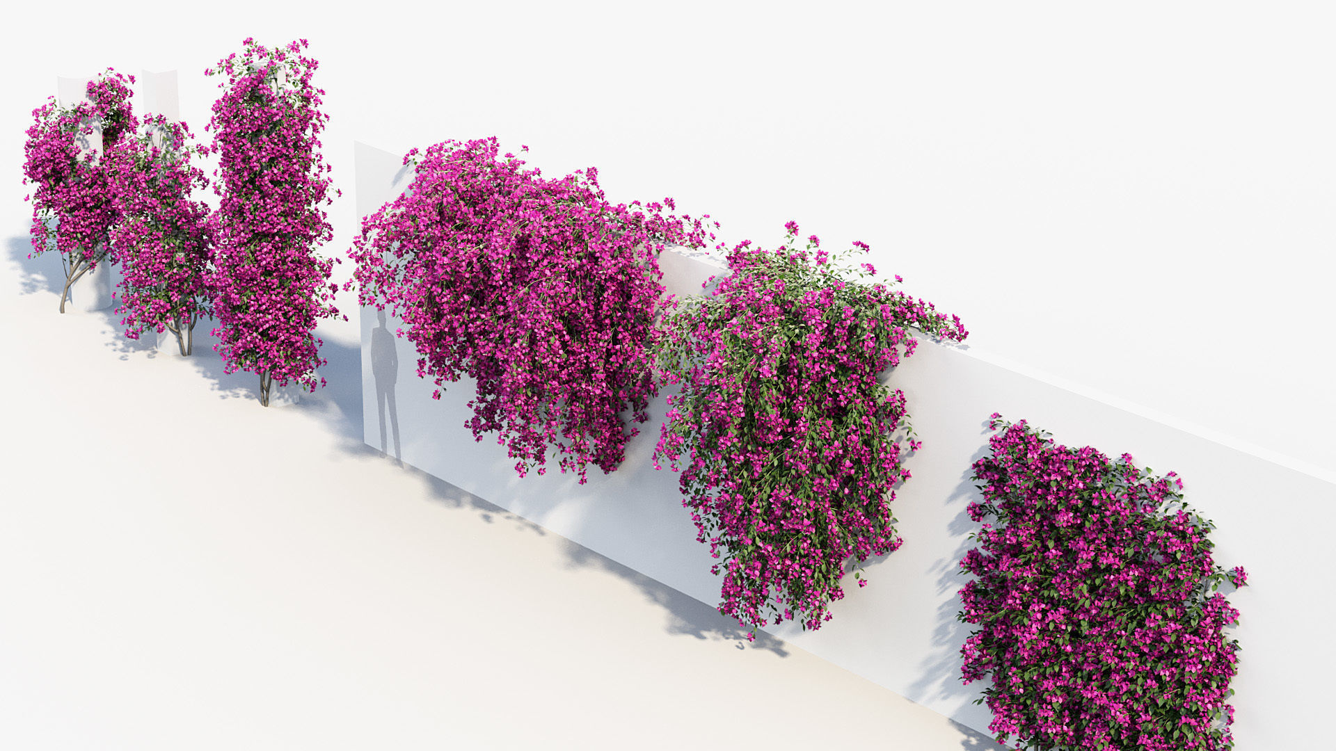 Package 12 Hang Vine Collection 3D model_15