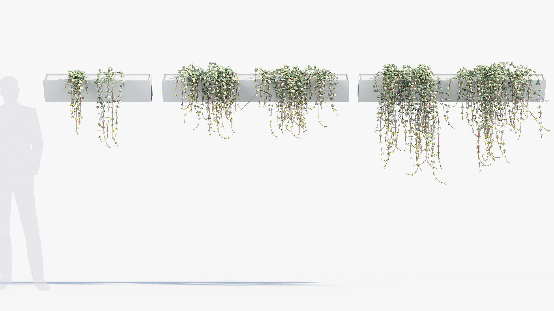 Package 12 Hang Vine Collection 3D model_27