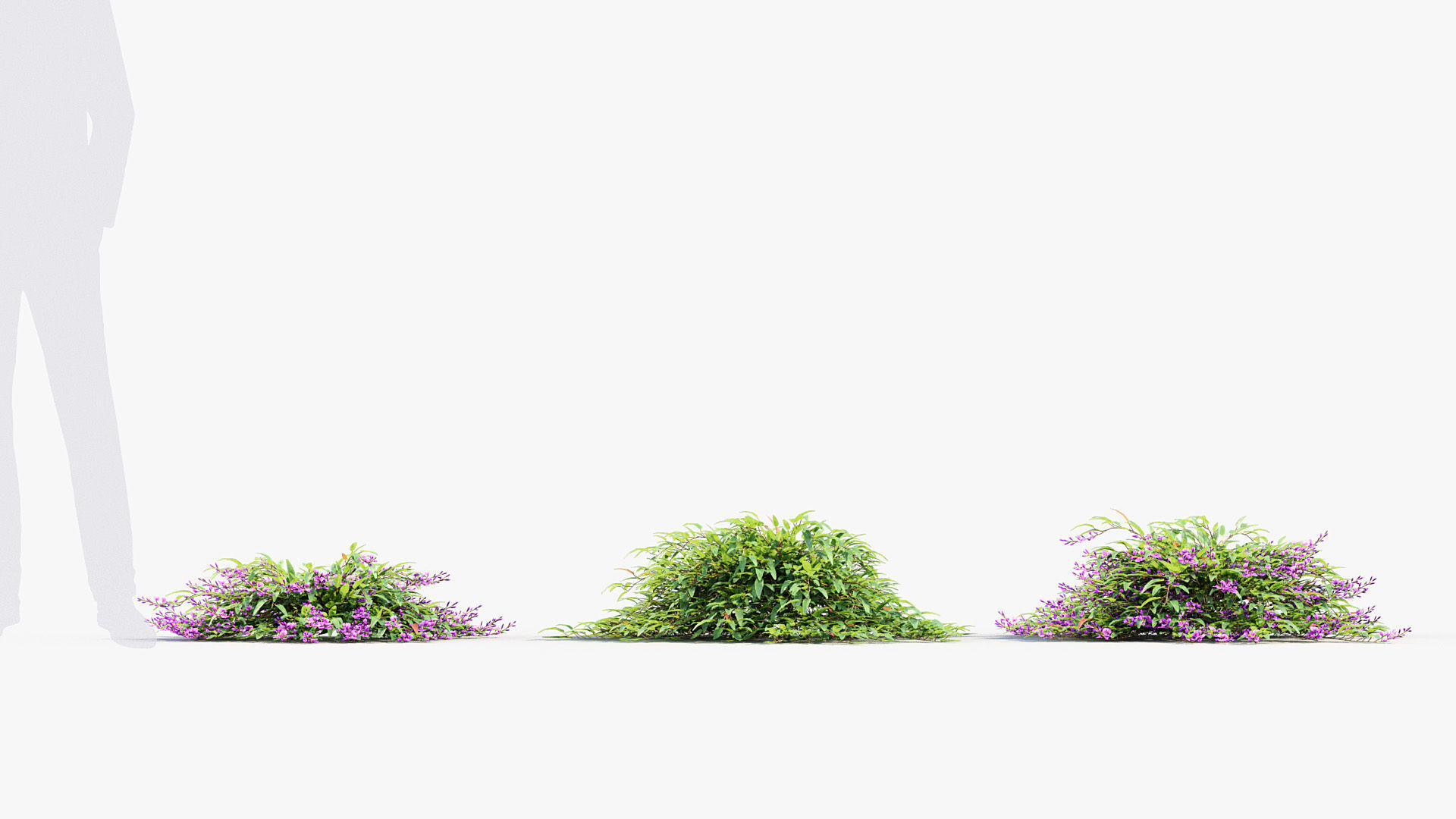 Package 12 Hang Vine Collection 3D model_66