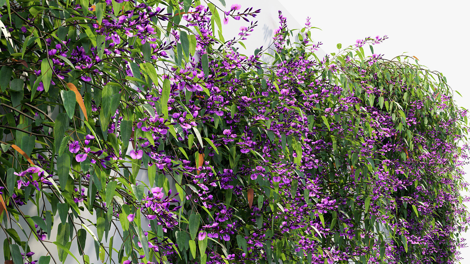 Package 12 Hang Vine Collection 3D model_77