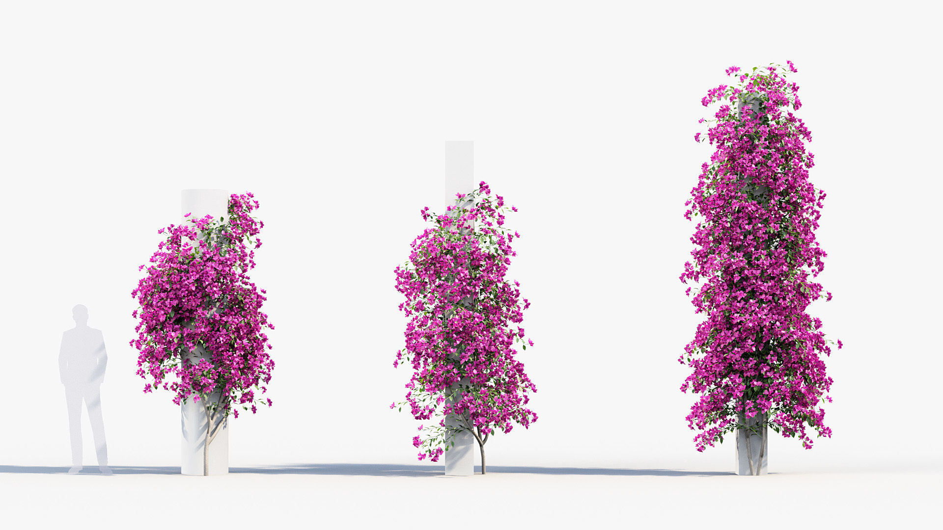 Package 12 Hang Vine Collection 3D model_10
