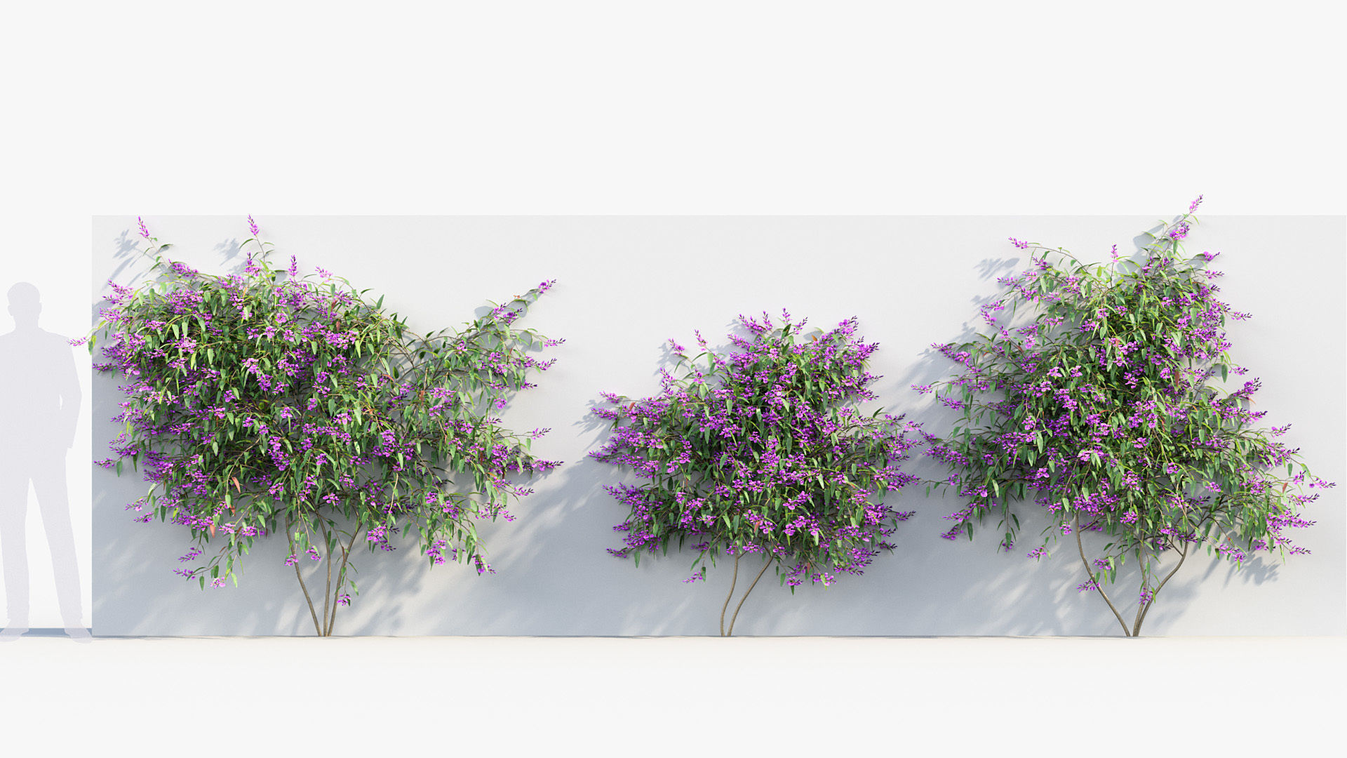 Package 12 Hang Vine Collection 3D model_74