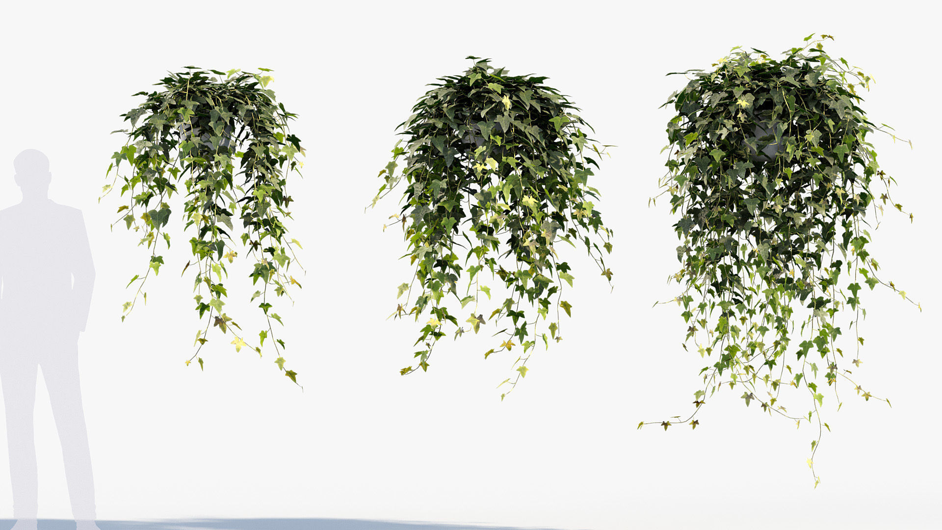 Package 12 Hang Vine Collection 3D model_34