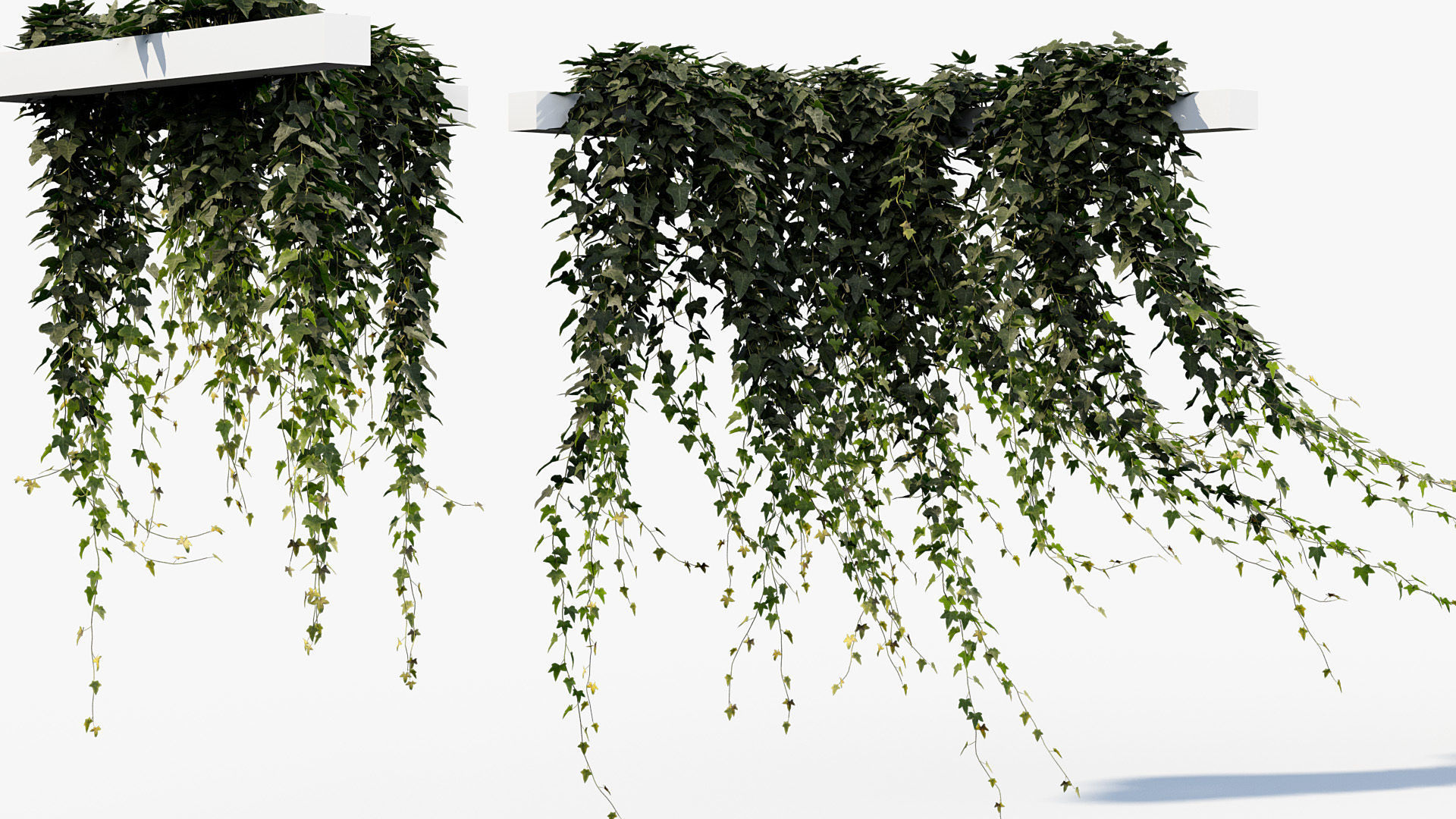 Package 12 Hang Vine Collection 3D model_44