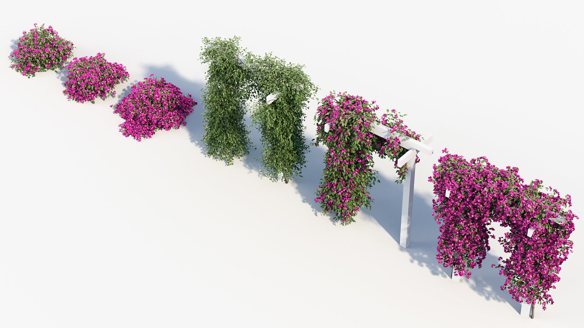 Package 12 Hang Vine Collection 3D model_7