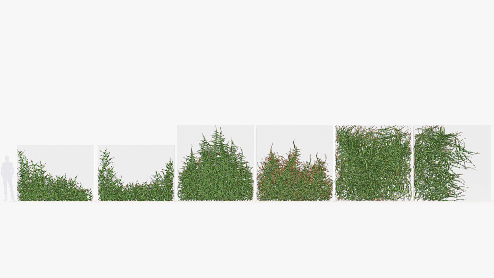 Package 12 Hang Vine Collection 3D model_57