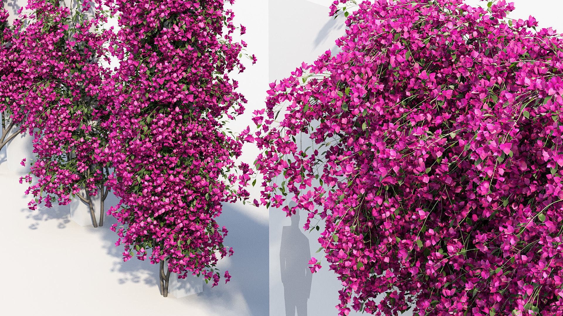 Package 12 Hang Vine Collection 3D model_14