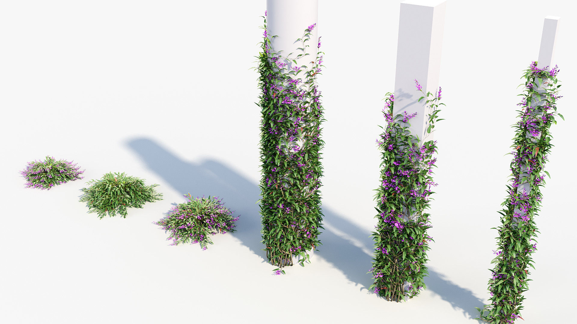 Package 12 Hang Vine Collection 3D model_71