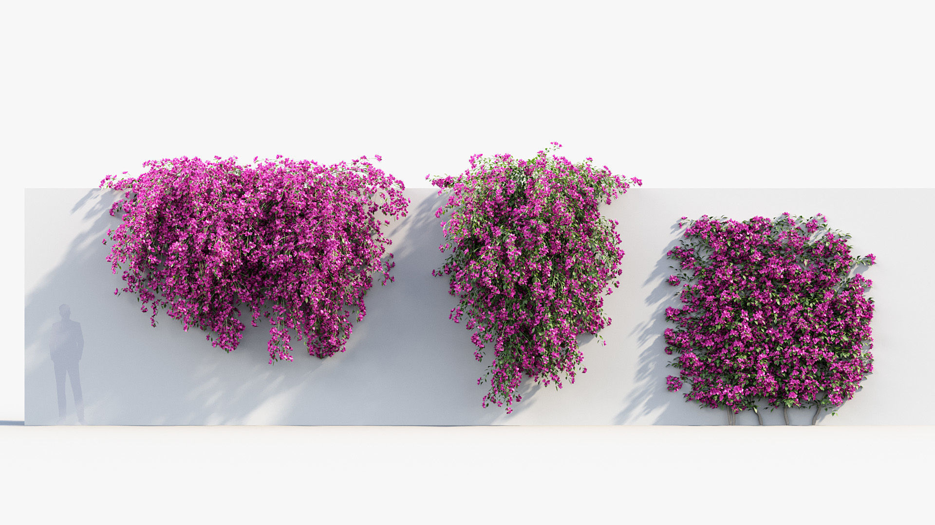 Package 12 Hang Vine Collection 3D model_11