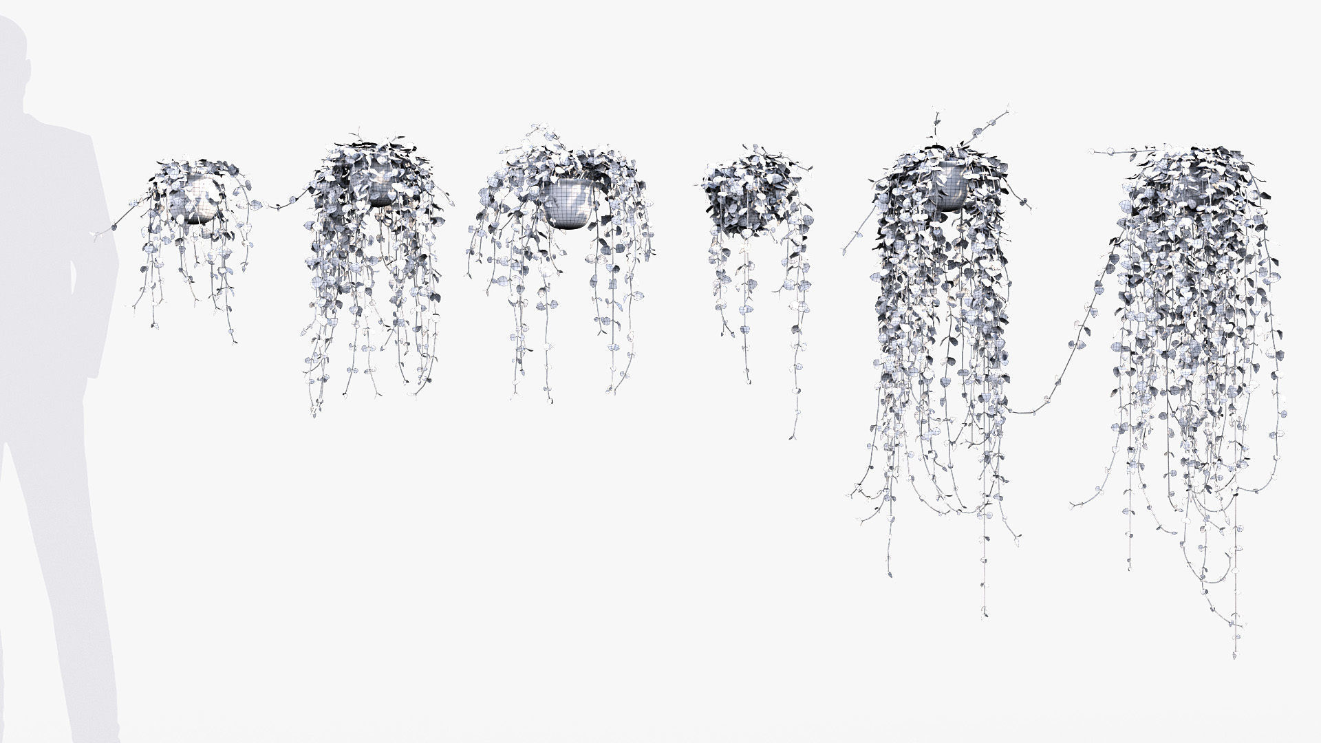 Package 12 Hang Vine Collection 3D model_24