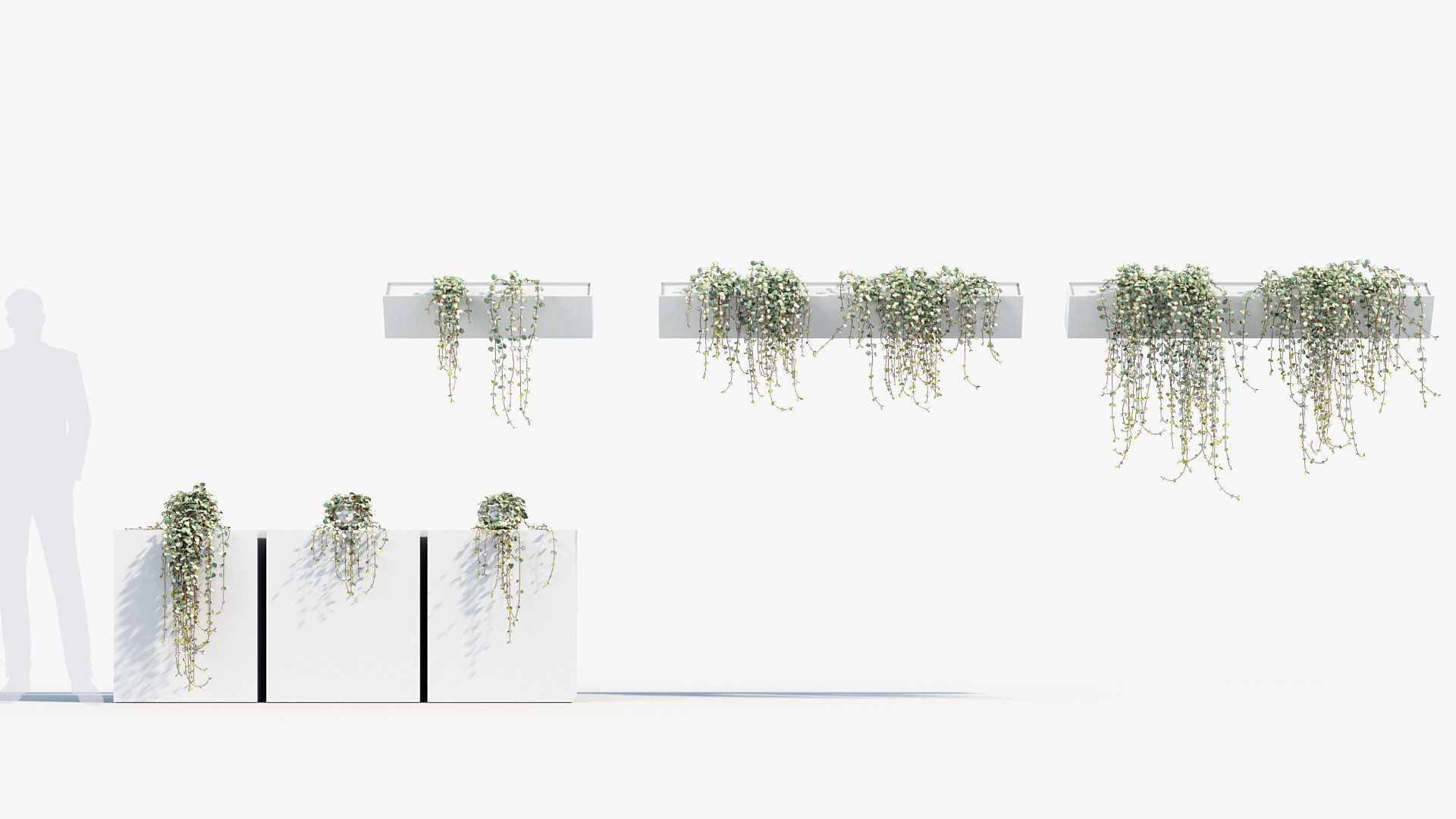 Package 12 Hang Vine Collection 3D model_25