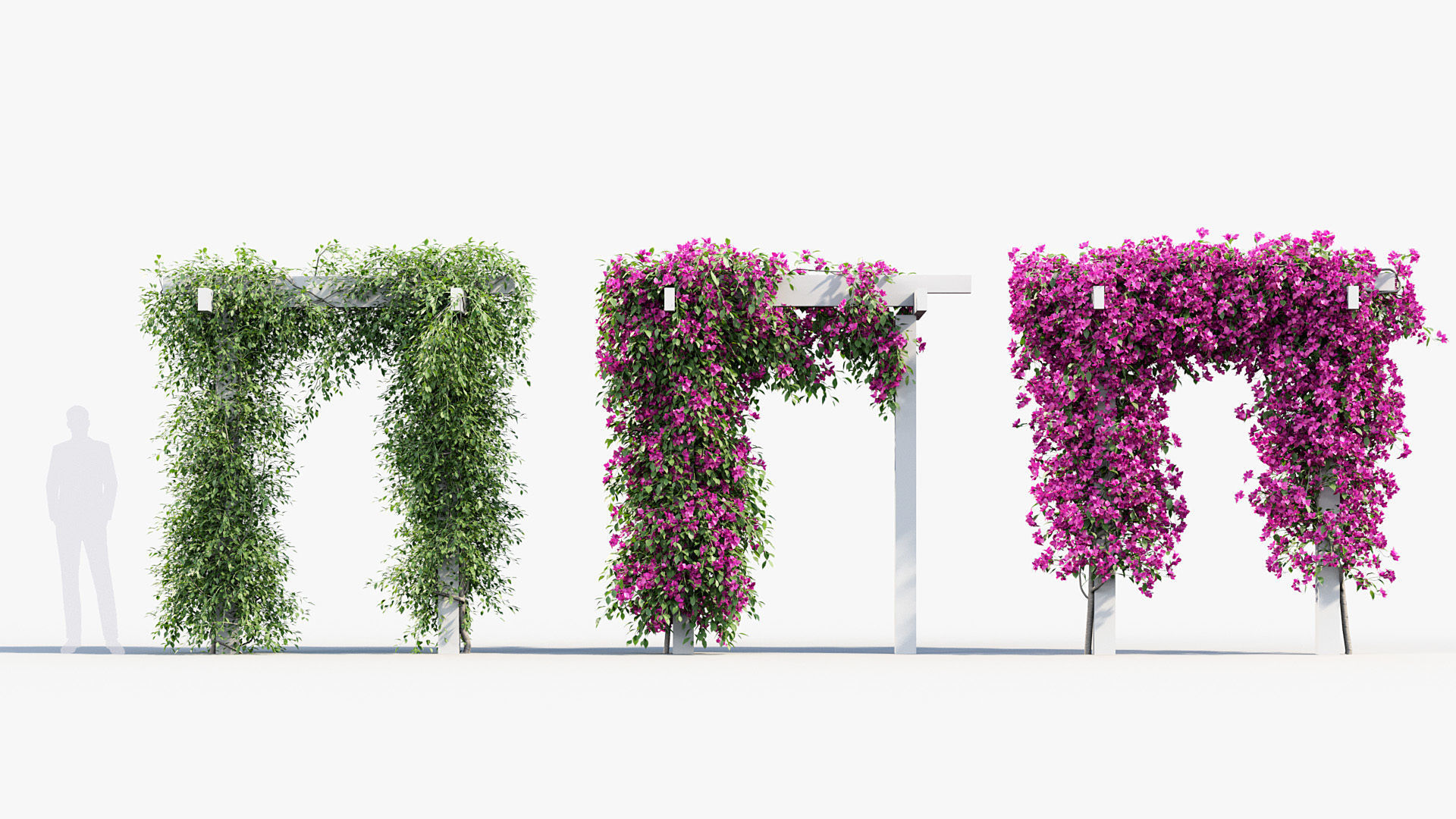 Package 12 Hang Vine Collection 3D model_3