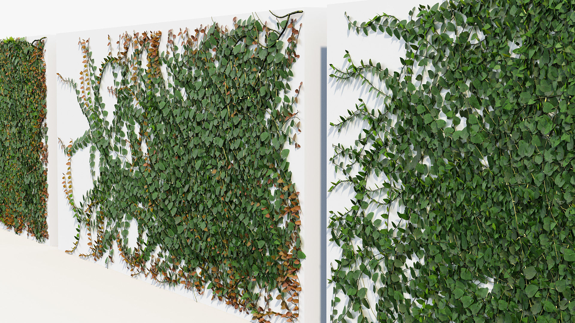 Package 12 Hang Vine Collection 3D model_54