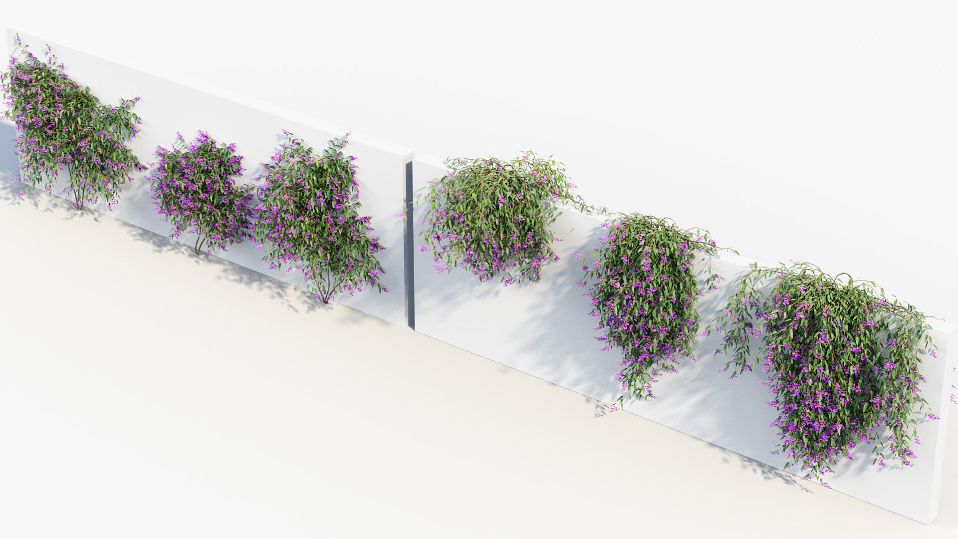 Package 12 Hang Vine Collection 3D model_79