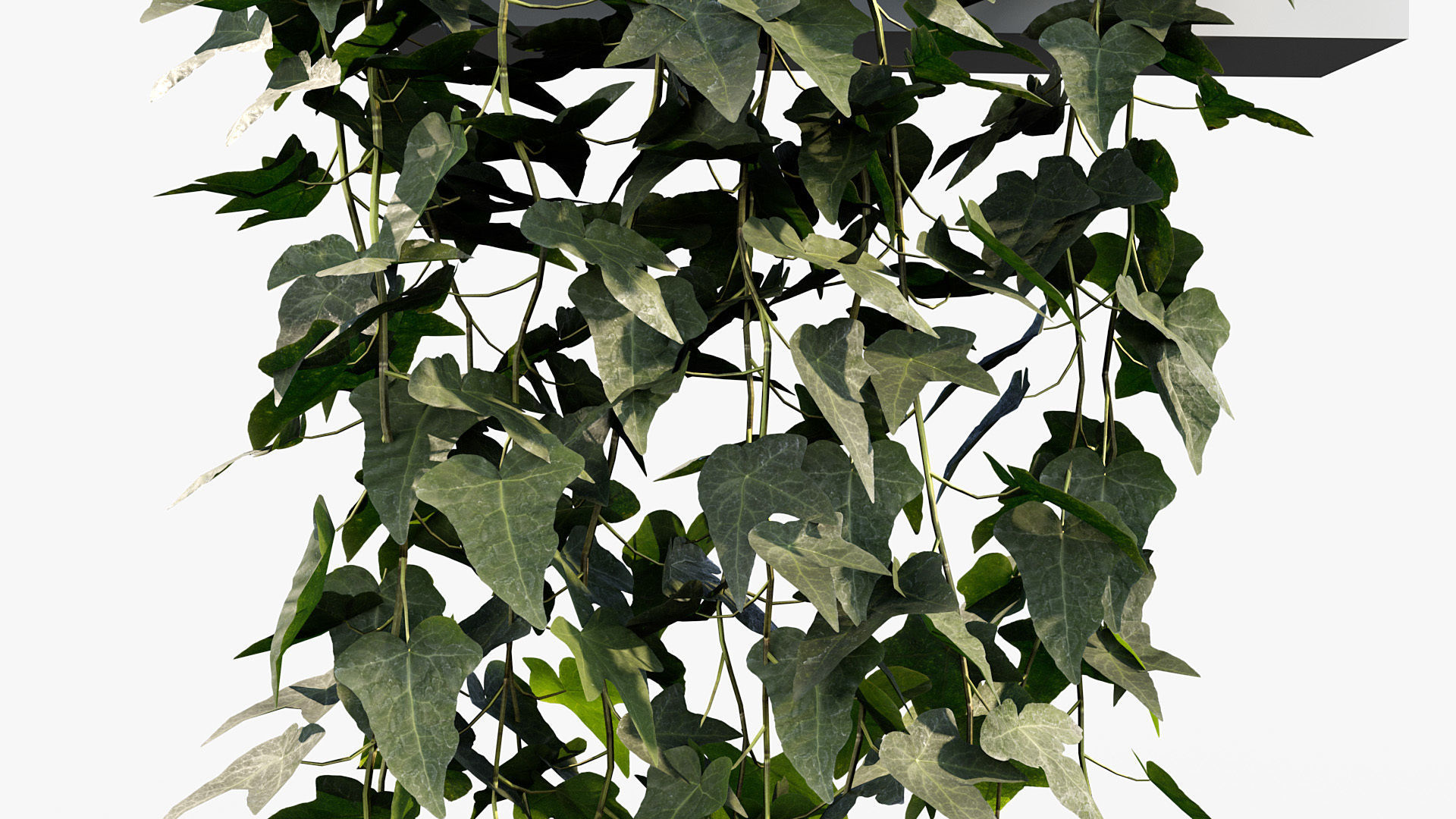 Package 12 Hang Vine Collection 3D model_37