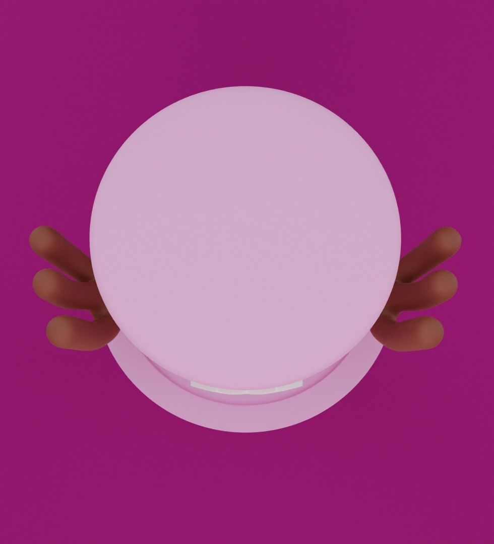 Tony Tony Chopper 3D model for 3D print 3D print model_2