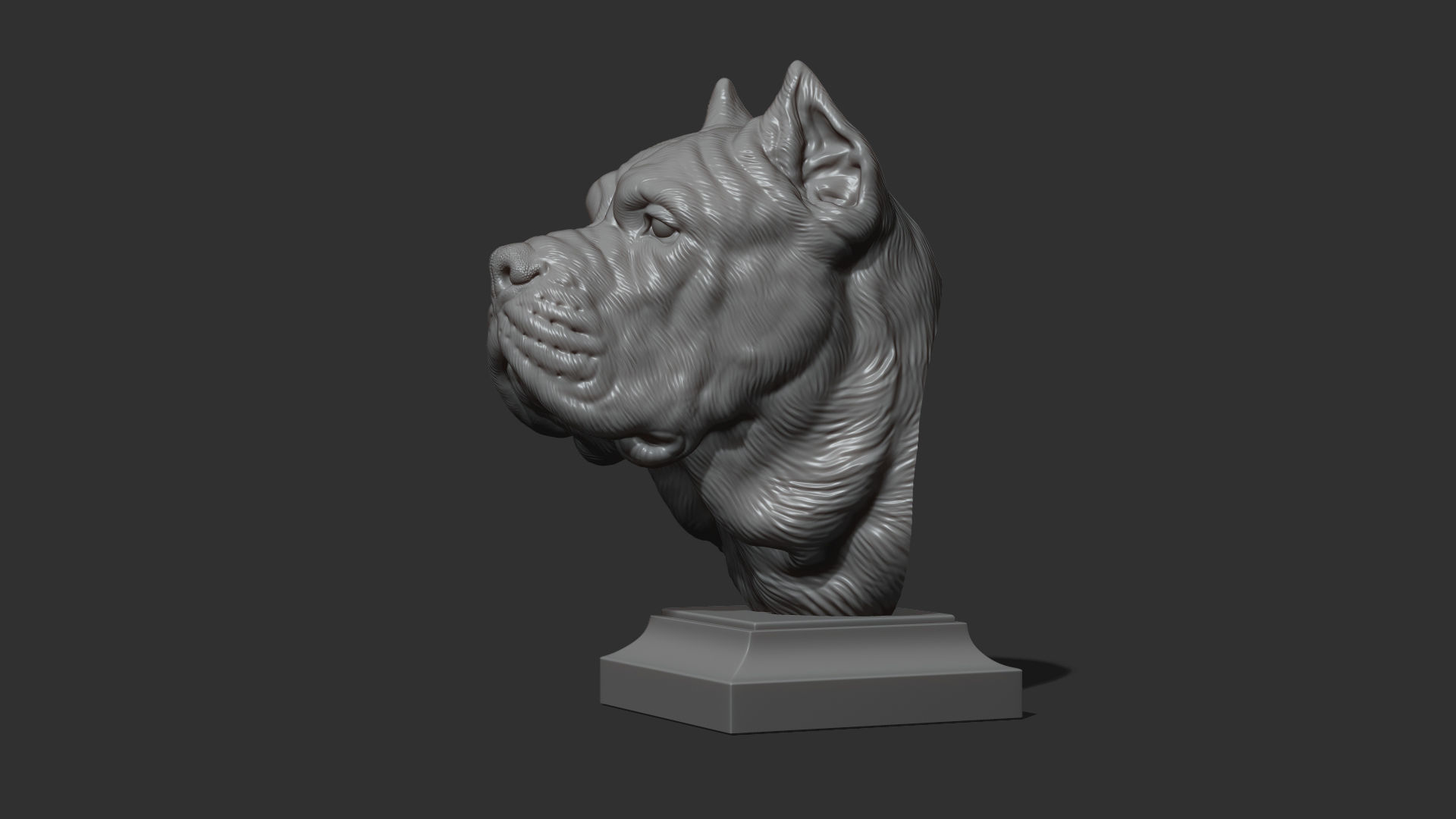 Canne Corso dog 3D print model_25