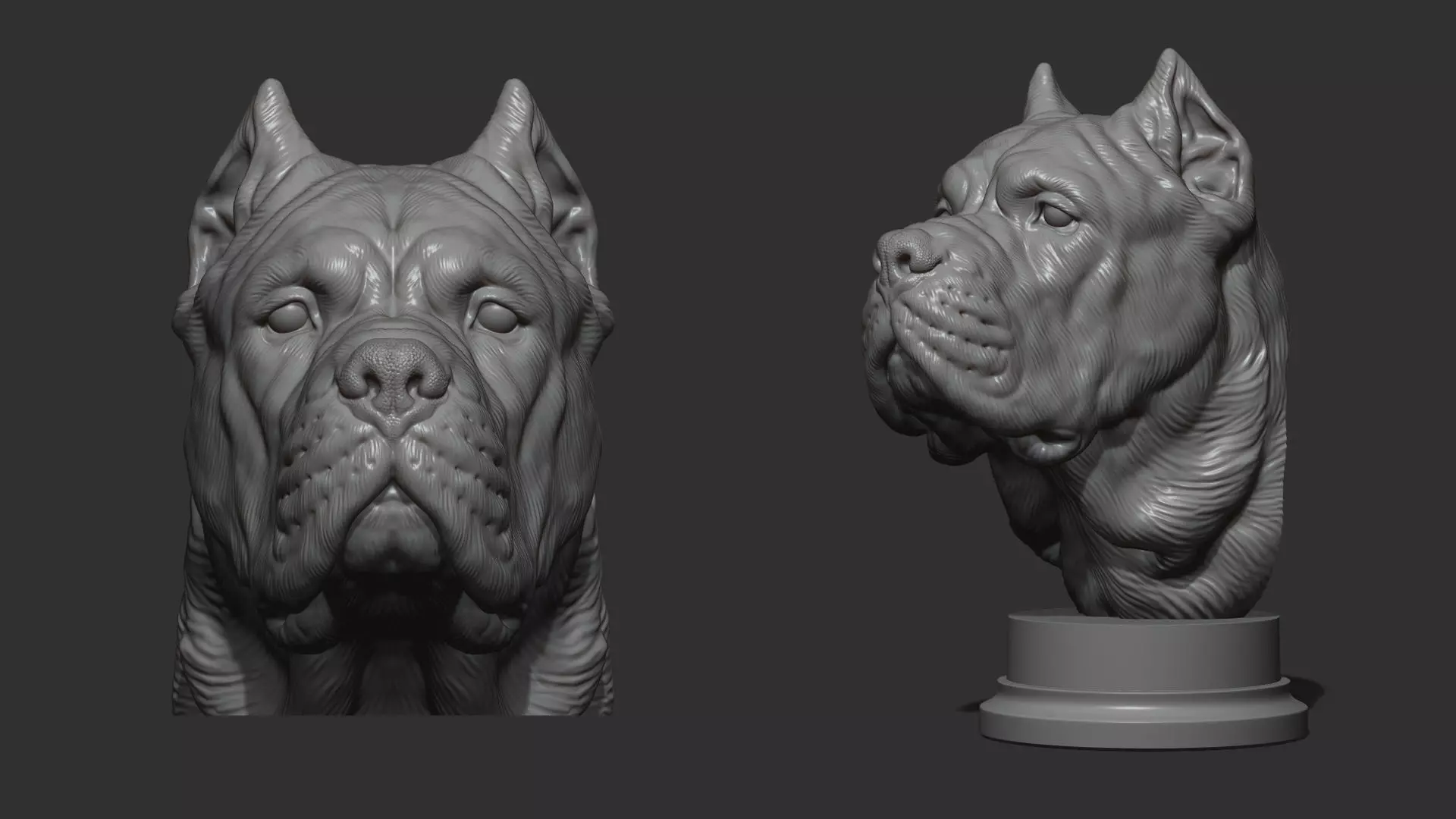 Canne Corso dog 3D print model_0