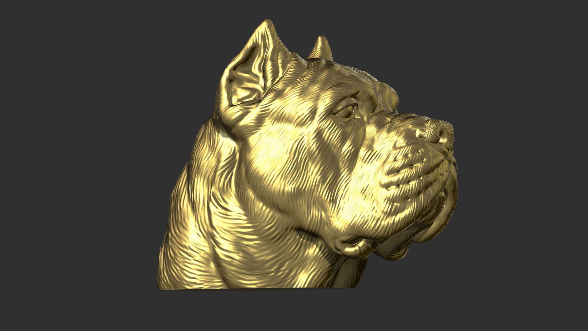 Canne Corso dog 3D print model_16