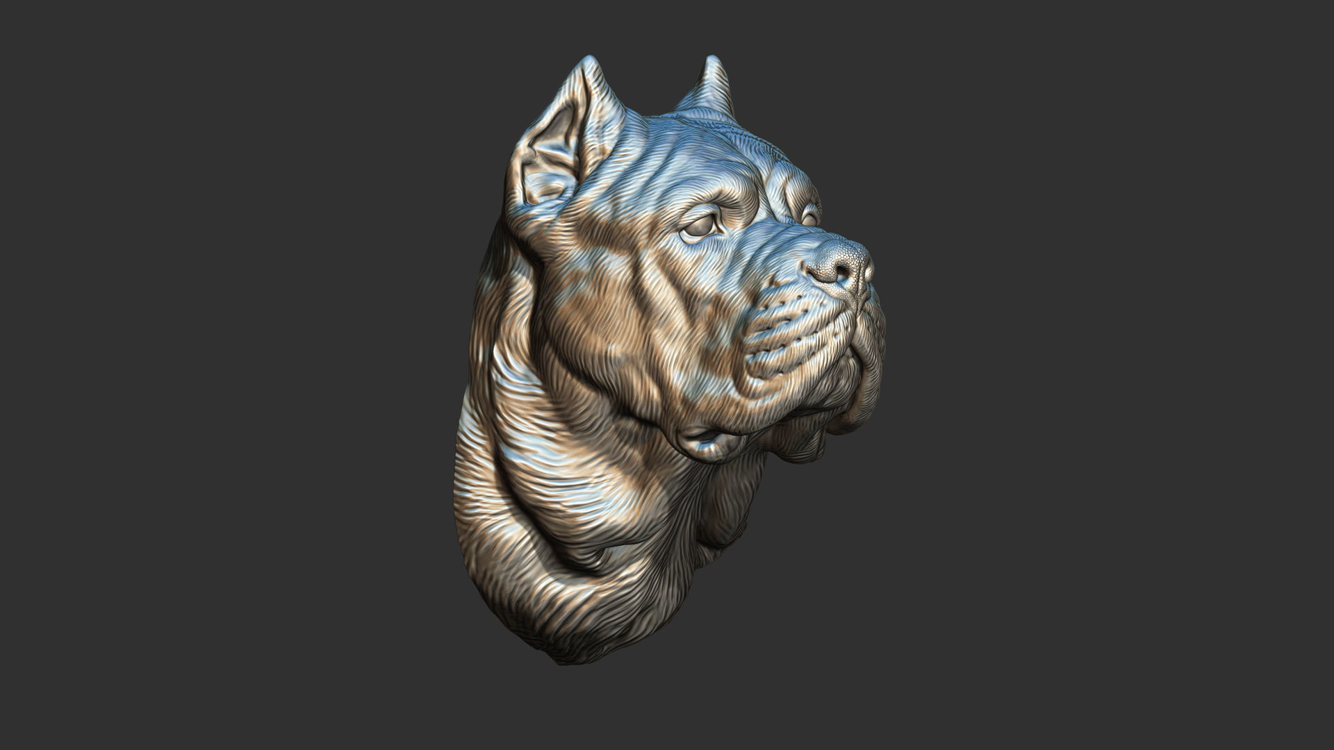 Canne Corso dog 3D print model_8