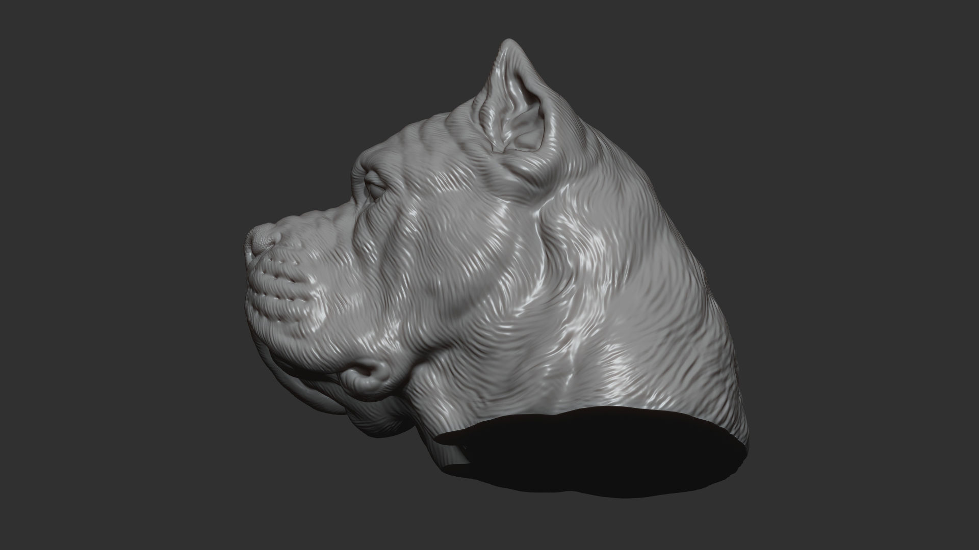 Canne Corso dog 3D print model_11