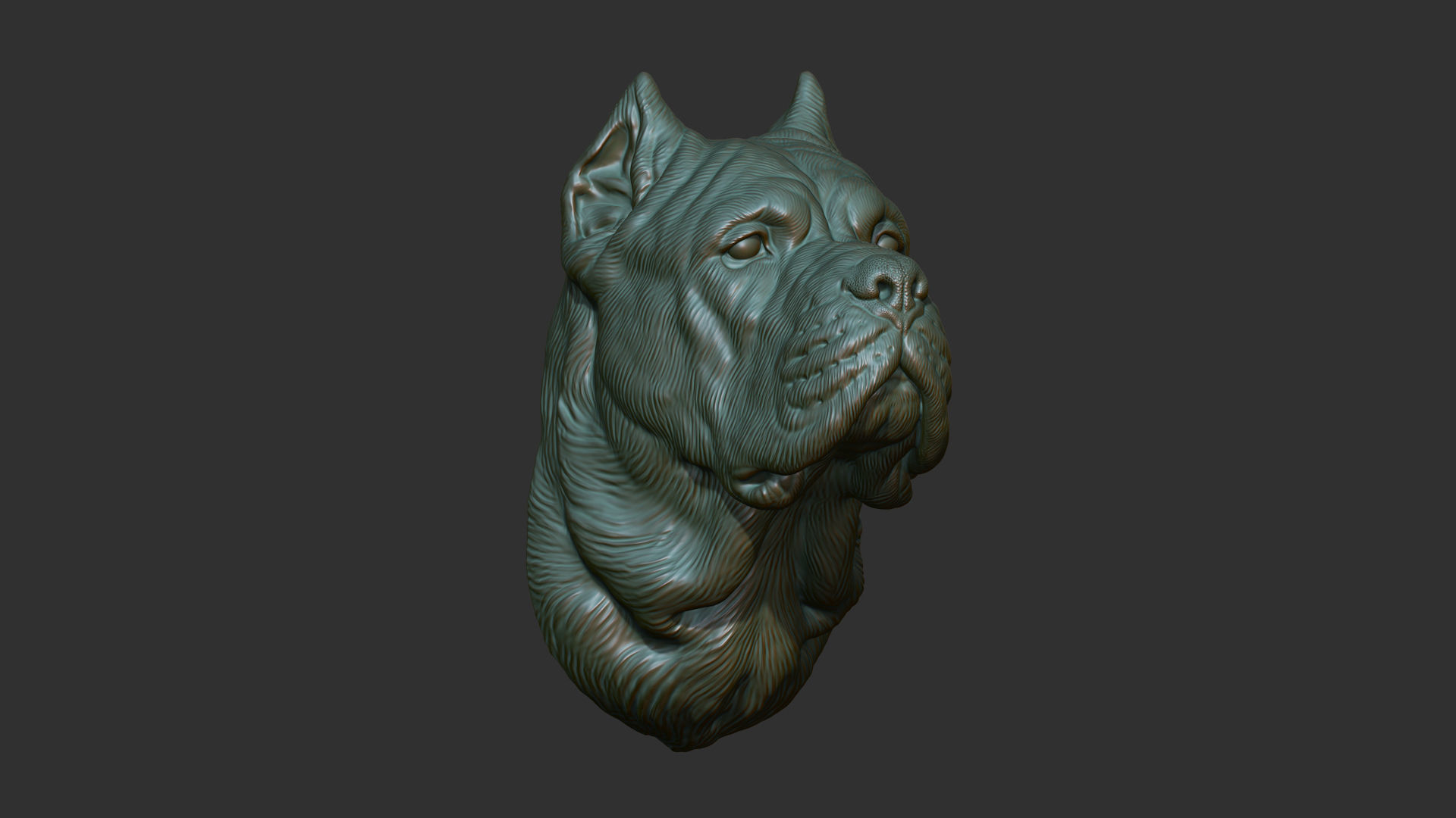 Canne Corso dog 3D print model_7