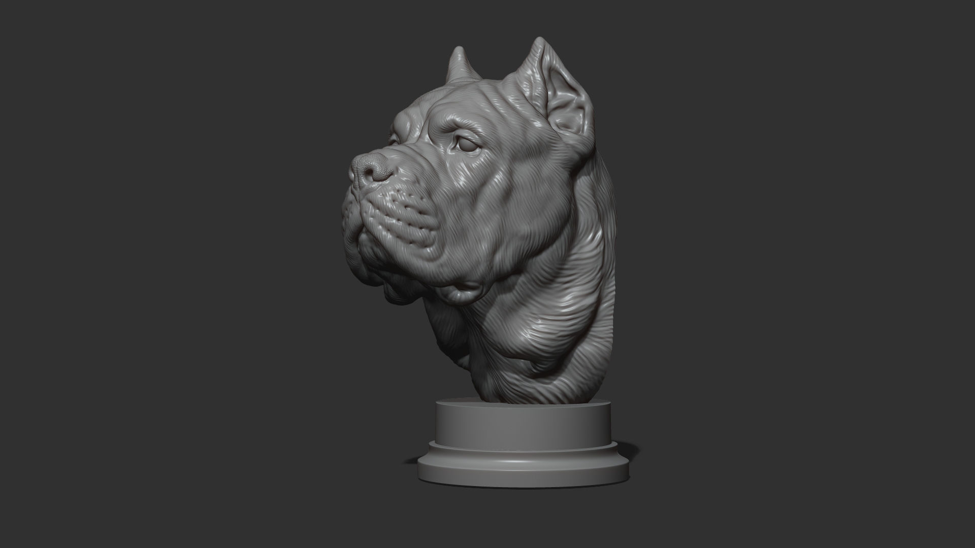 Canne Corso dog 3D print model_18