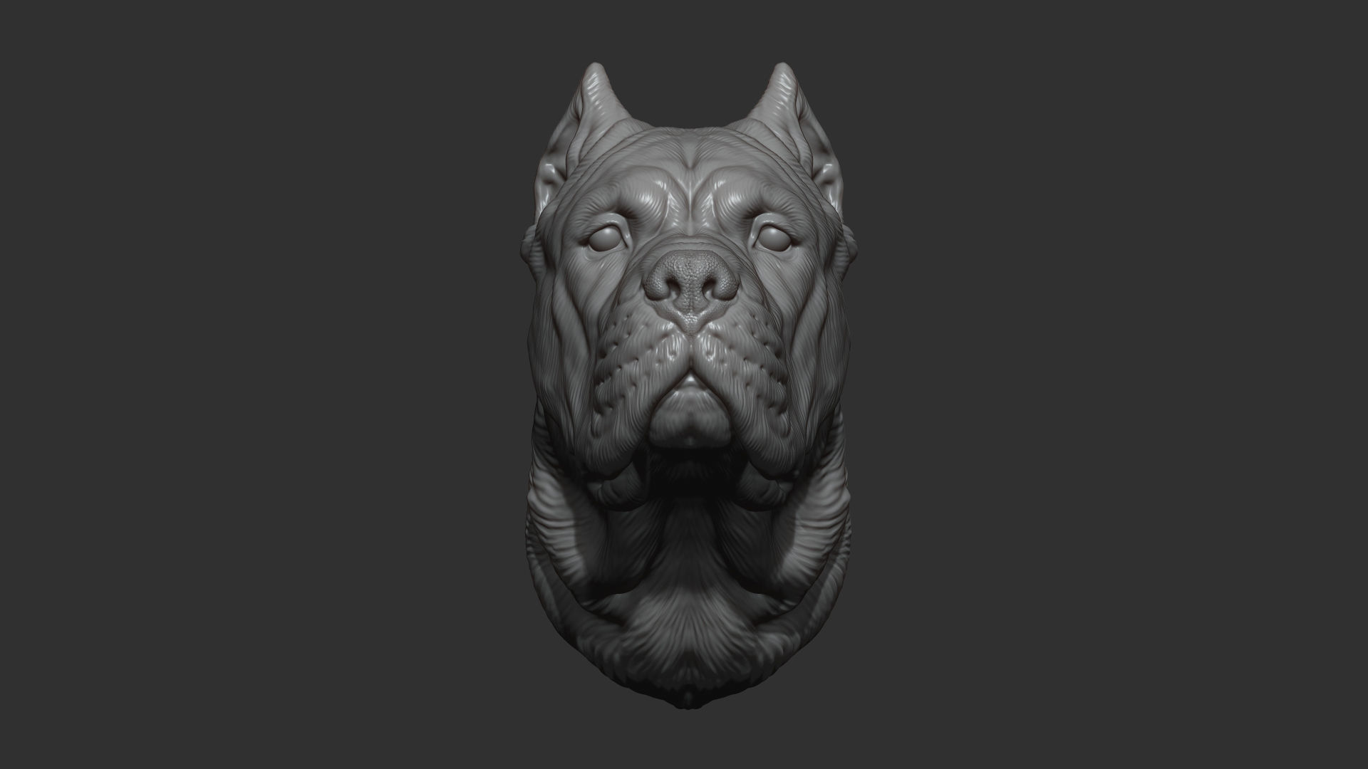 Canne Corso dog 3D print model_1