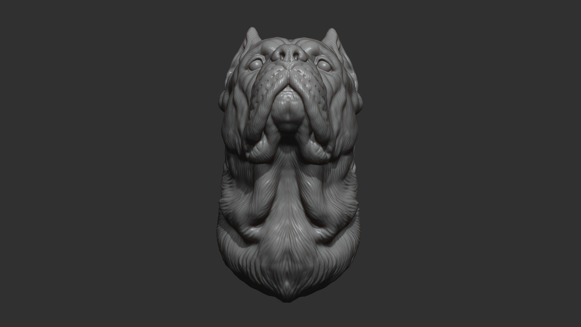 Canne Corso dog 3D print model_14
