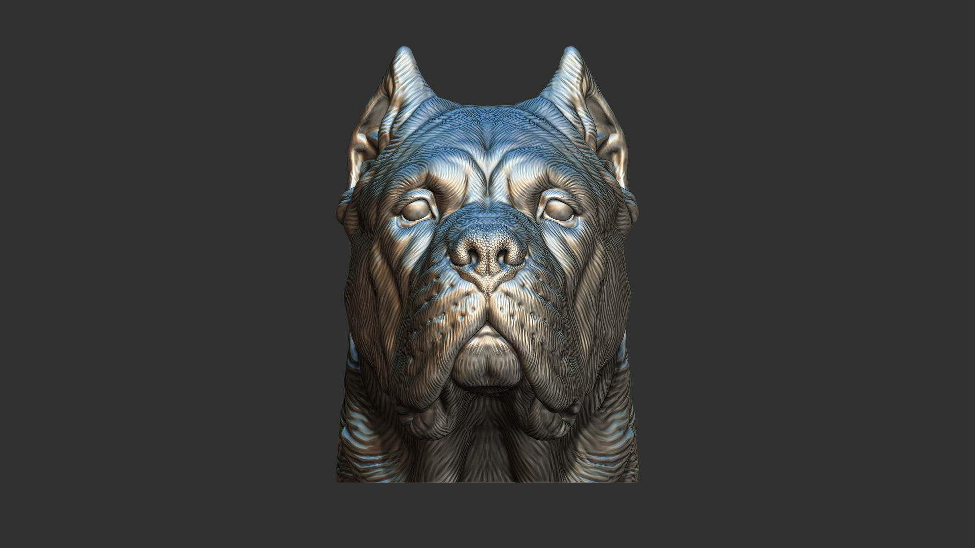 Canne Corso dog 3D print model_15