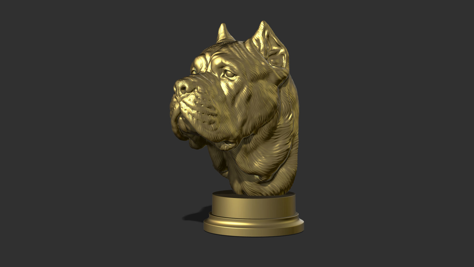 Canne Corso dog 3D print model_23