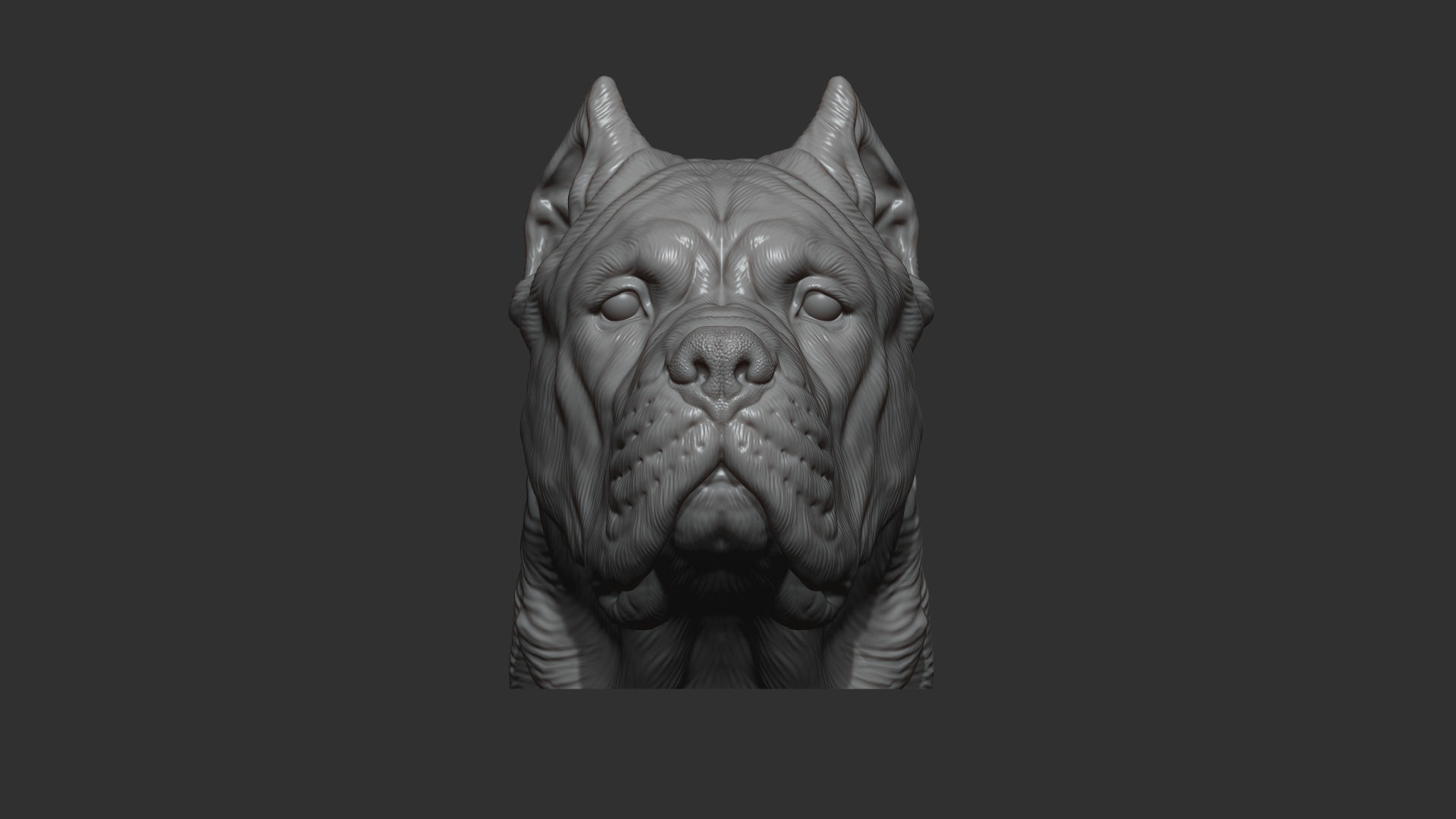 Canne Corso dog 3D print model_10