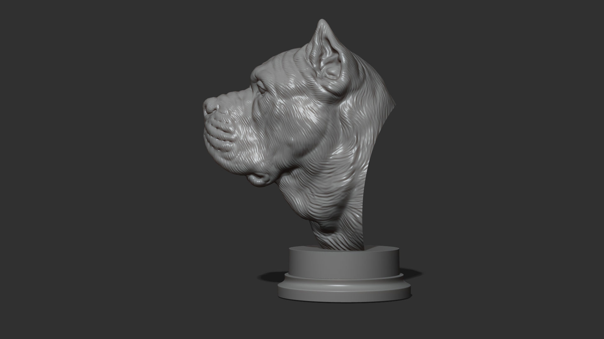Canne Corso dog 3D print model_17