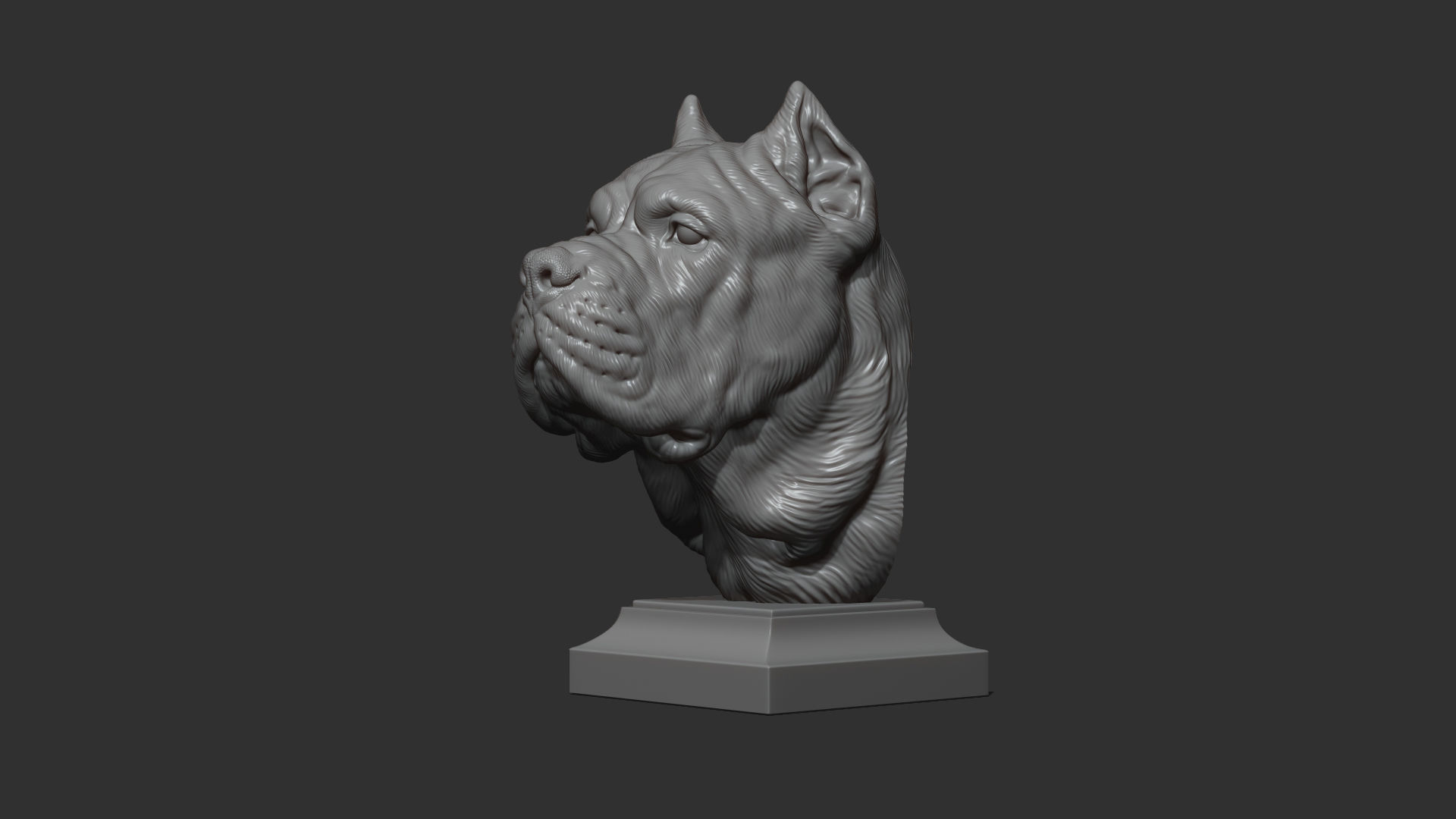 Canne Corso dog 3D print model_24