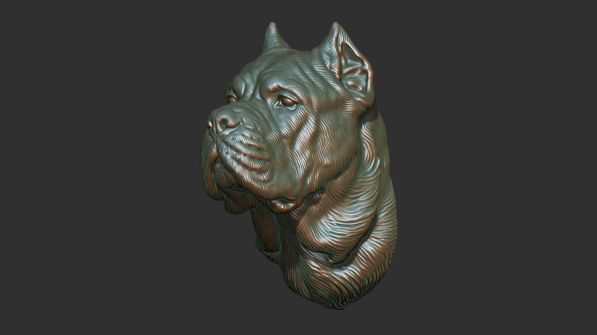 Canne Corso dog 3D print model_6