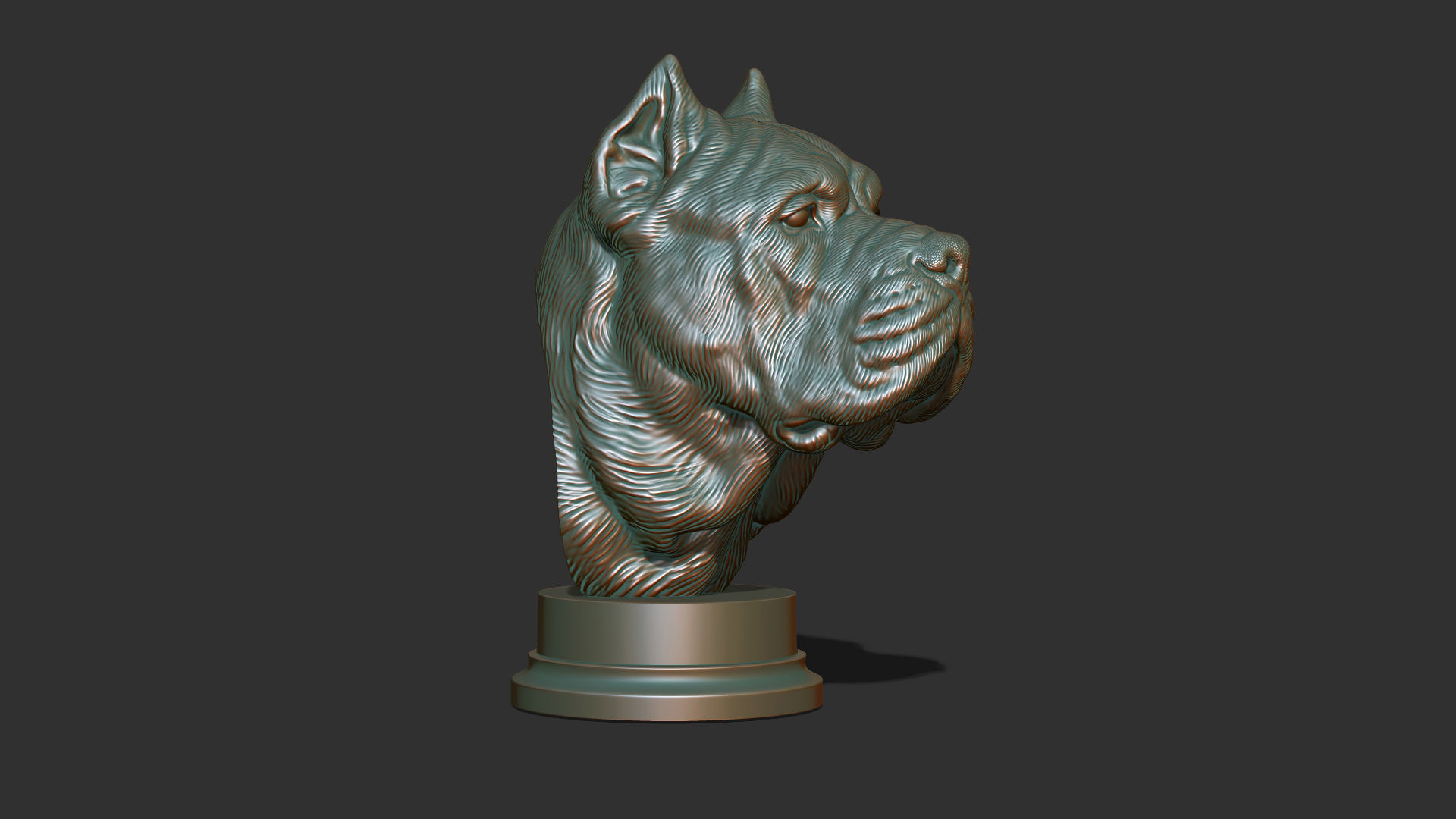 Canne Corso dog 3D print model_20