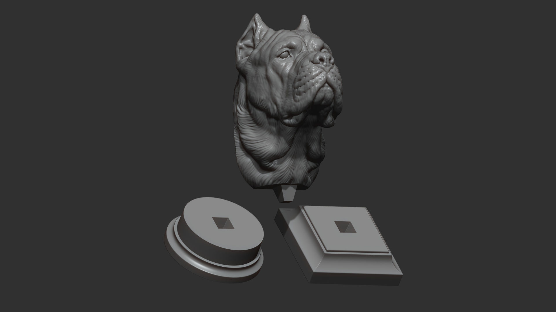 Canne Corso dog 3D print model_30