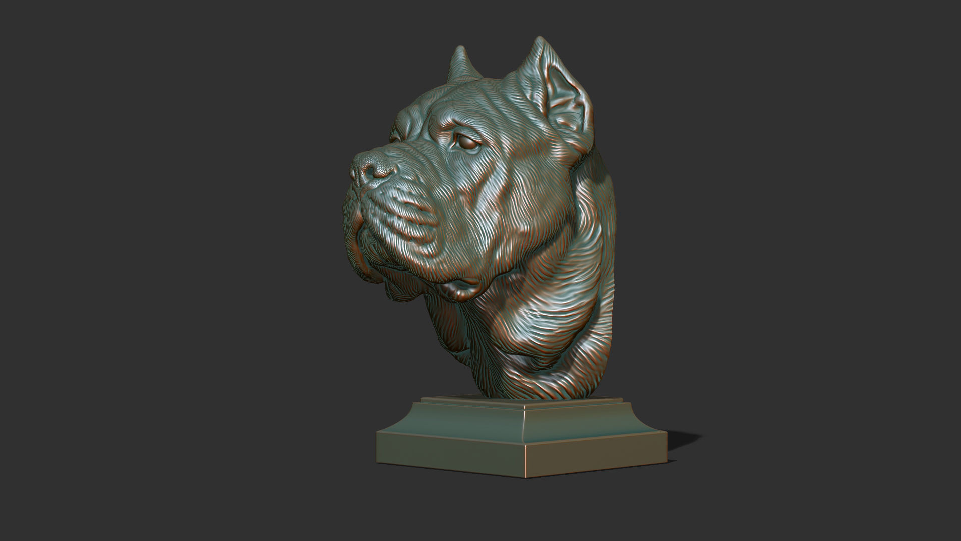 Canne Corso dog 3D print model_26