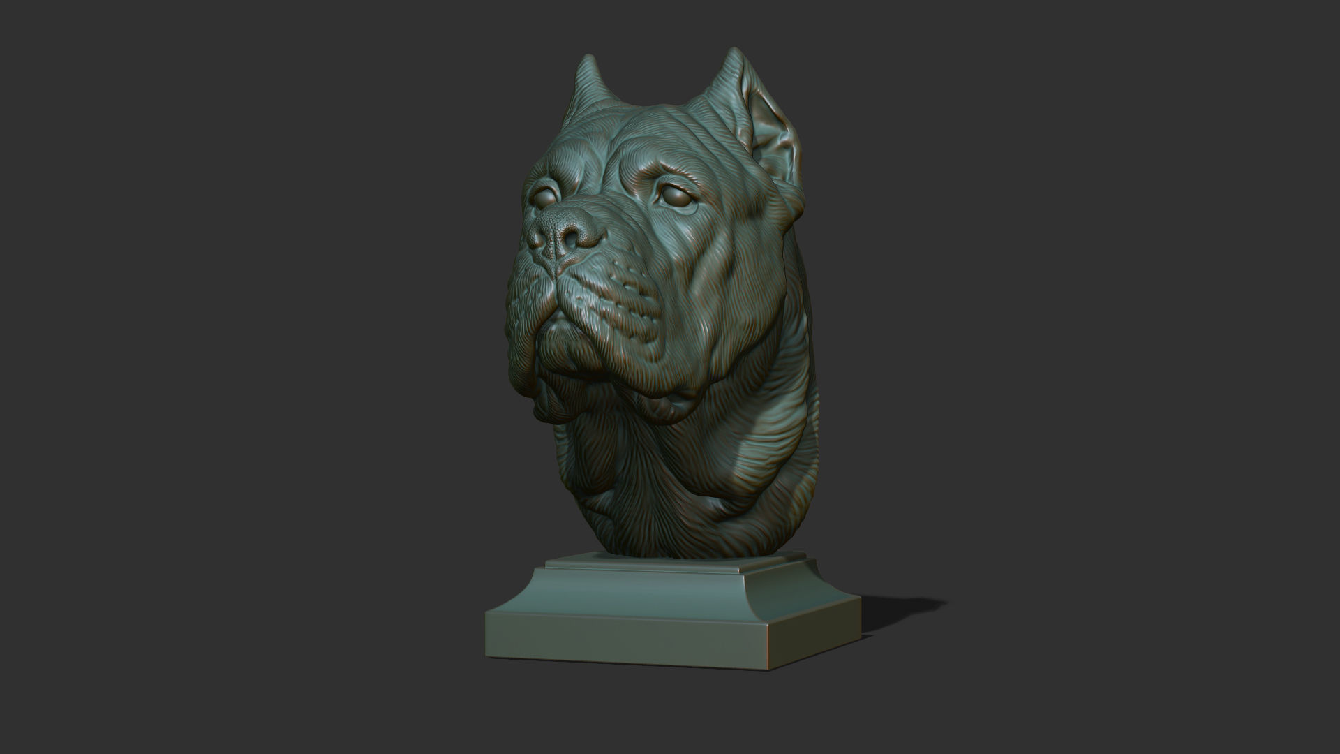 Canne Corso dog 3D print model_27