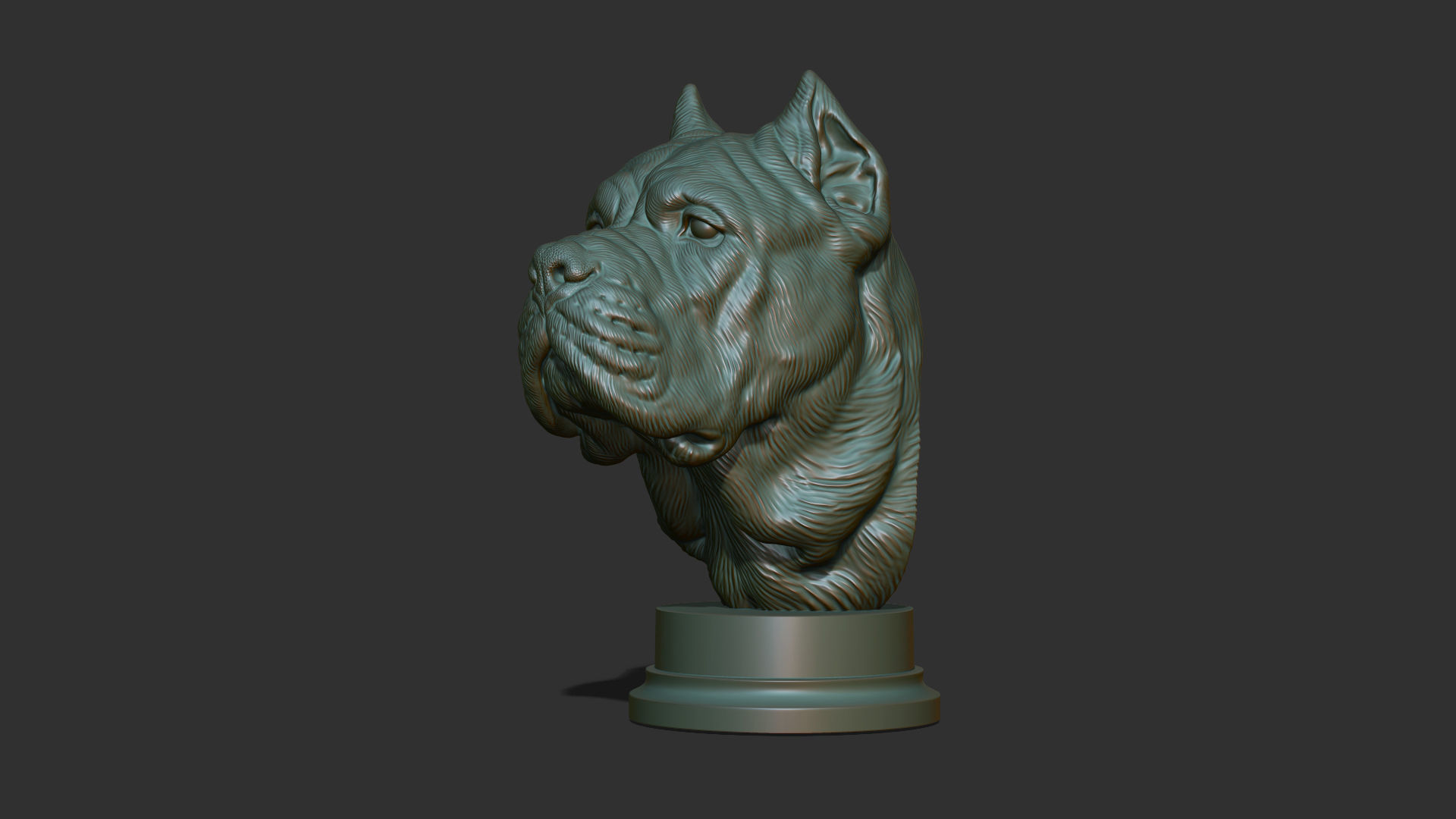 Canne Corso dog 3D print model_21