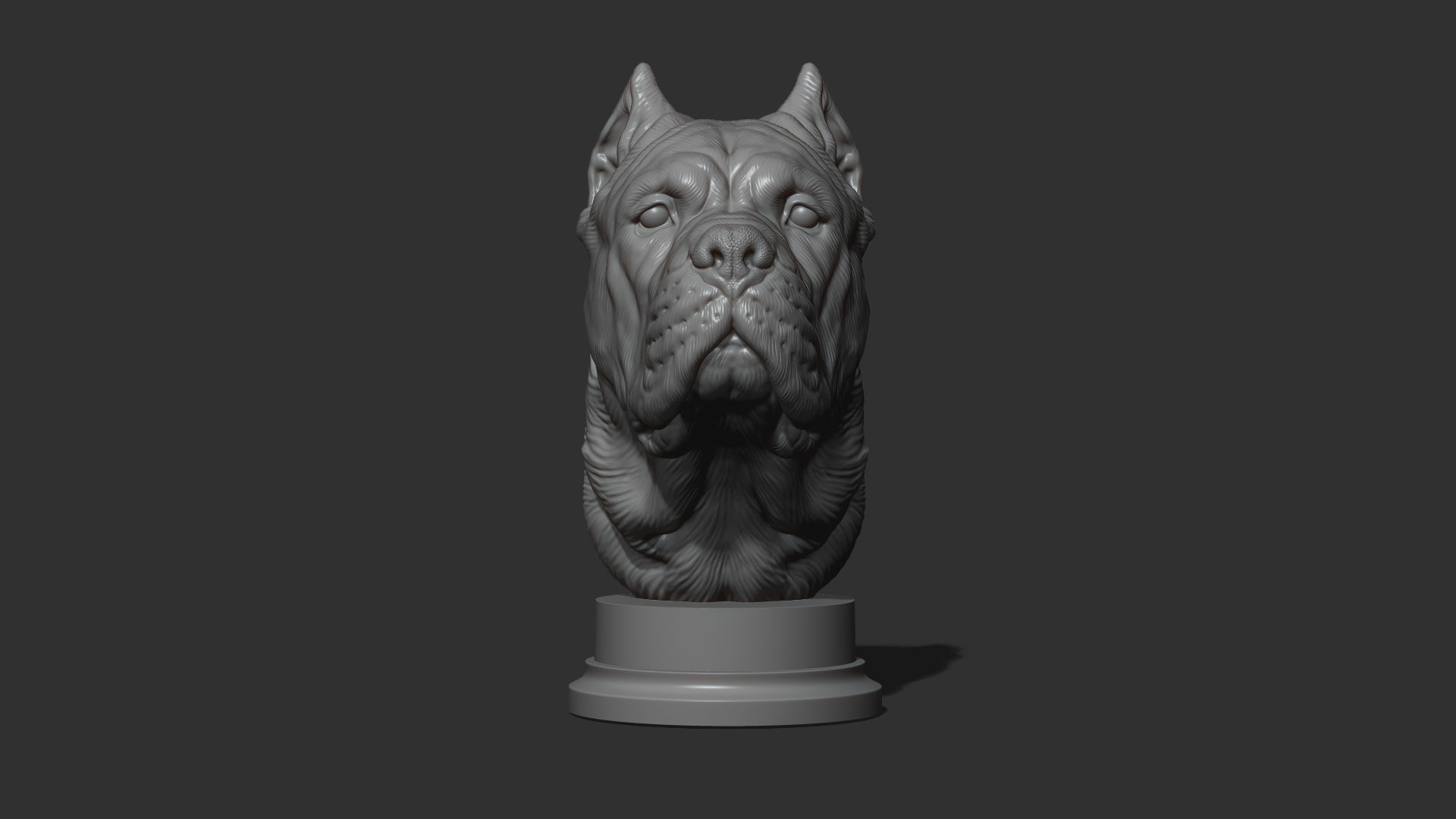 Canne Corso dog 3D print model_19
