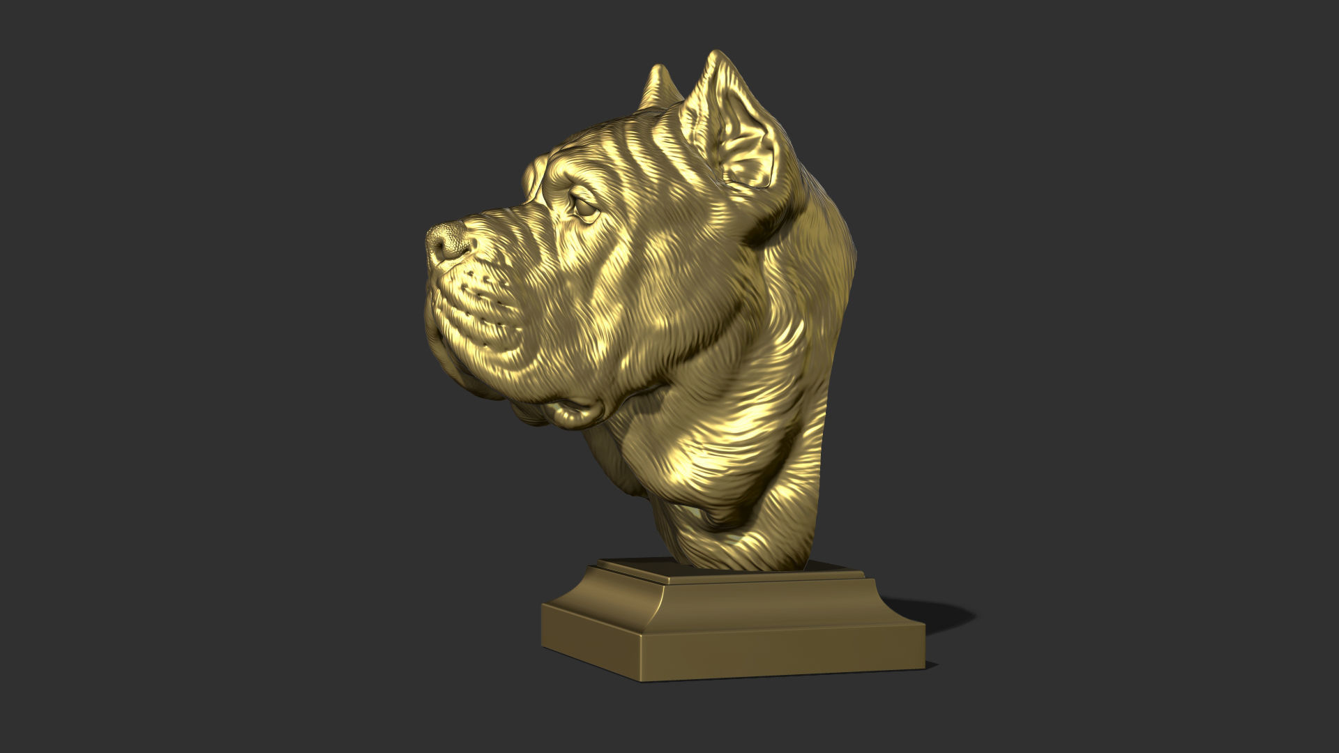 Canne Corso dog 3D print model_29