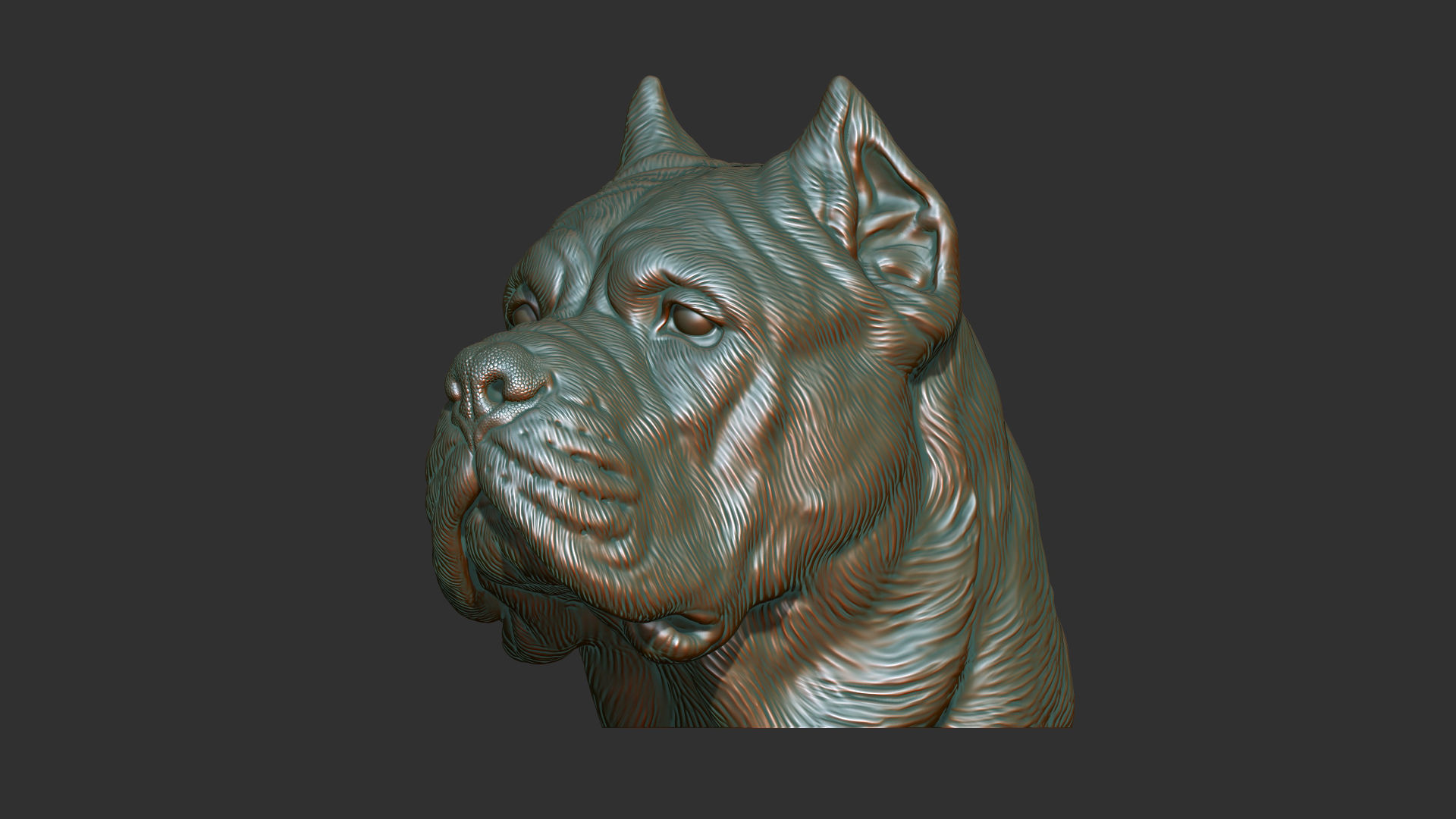 Canne Corso dog 3D print model_13
