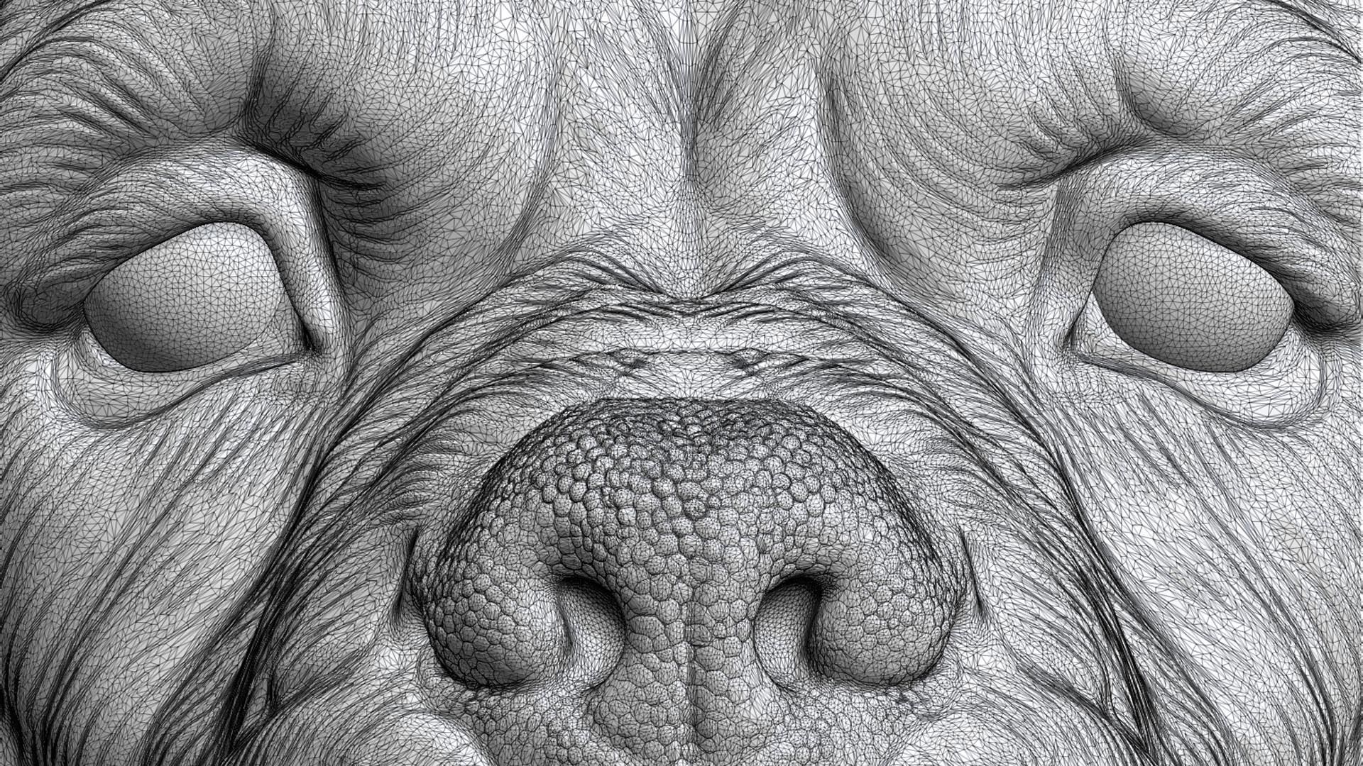 Canne Corso dog 3D print model_31