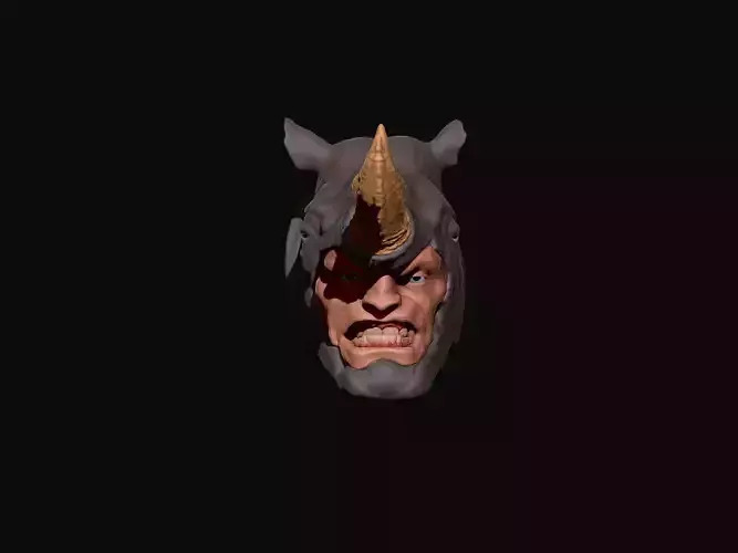 Rhino Head