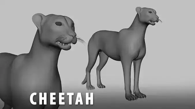 Cheetah Model Low-poly 3D model