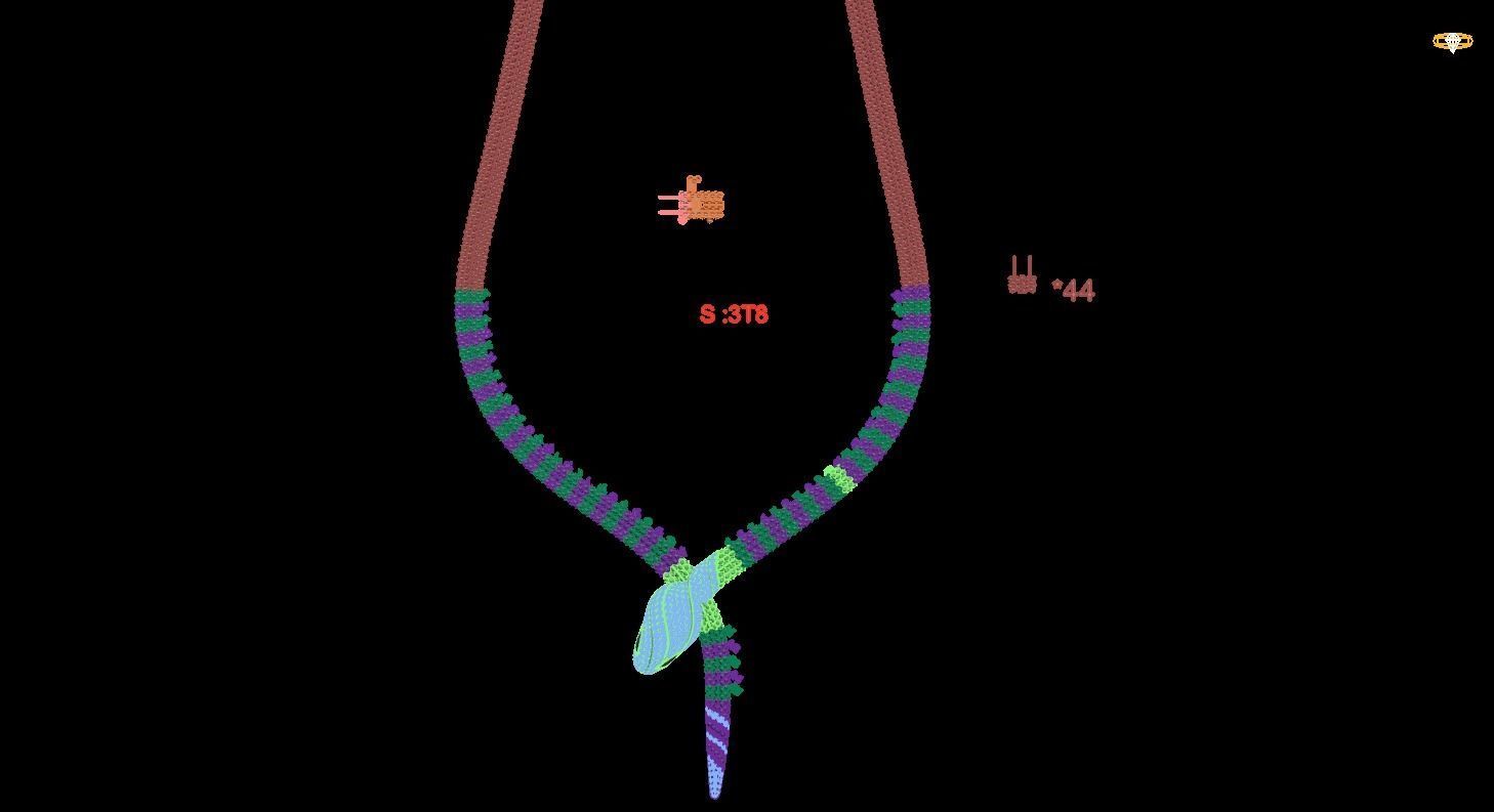 Necklaces Snake and ring Snake 3D print model_3