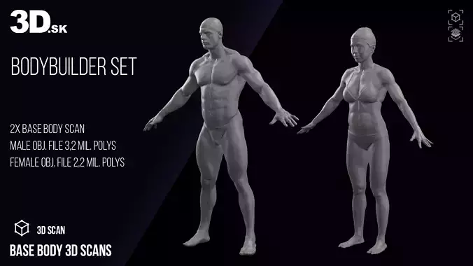 Base Body 3D Scans Bodybuilder Set